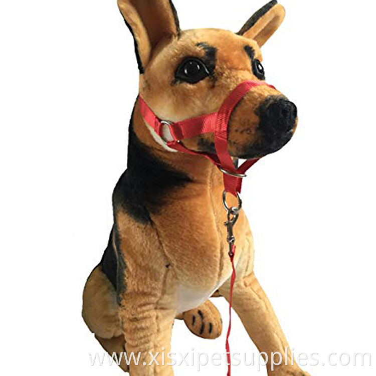 Dog Head Collar Comfort Trainer Leader Gentle Control Training Collars for Dogs Opp or Custom All Seasons Pantone Color 12days